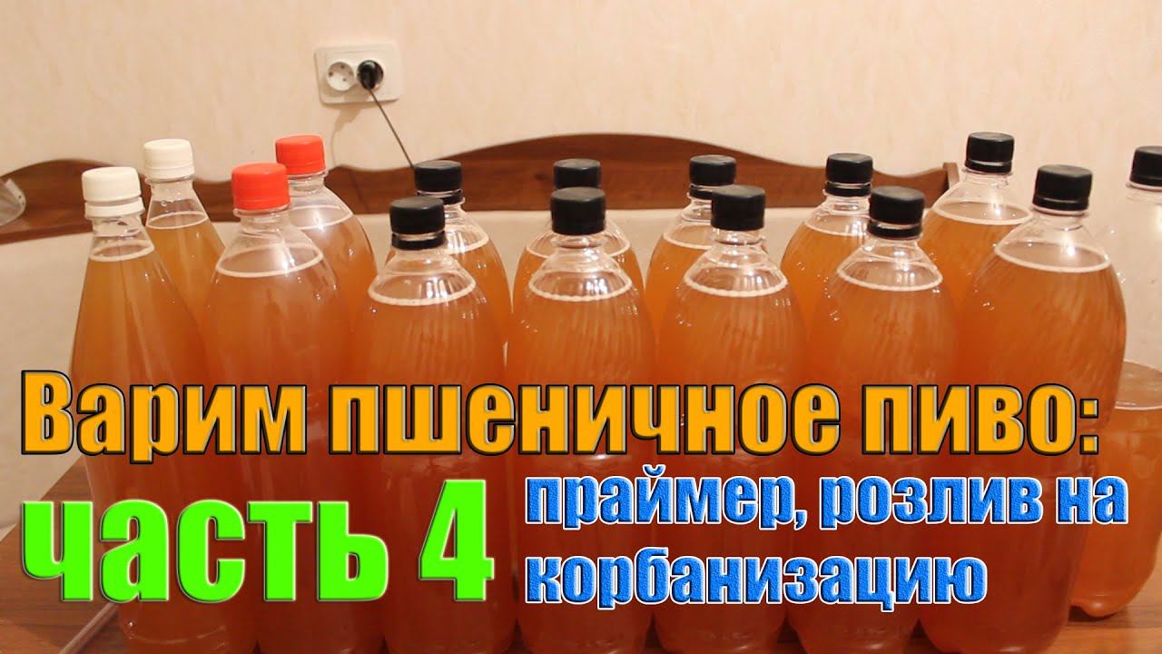 Варим пшеничное пиво: часть 4 (праймер и карбонизация)