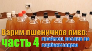 Варим пшеничное пиво: часть 4 (праймер и карбонизация)