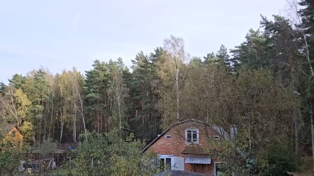 ПАЛЕСТИНА БУДЬ БЛАГОРАЗУМНА... смотреть онлайн