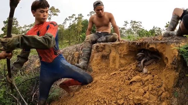 Brave Spider-Man And Pitbull Confront 100 Black Cobras смотреть онлайн