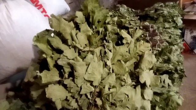 Банные веники в ноябре?! Можно зарабатывать круглый год!!! смотреть онлайн