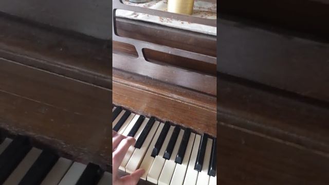 Casio CTK-3200 Keyboard Review смотреть онлайн