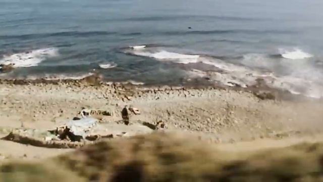 ИСПАНИЯ: Едем из аэропорта Гран Канария в город Лас-Пальмас смотреть онлайн