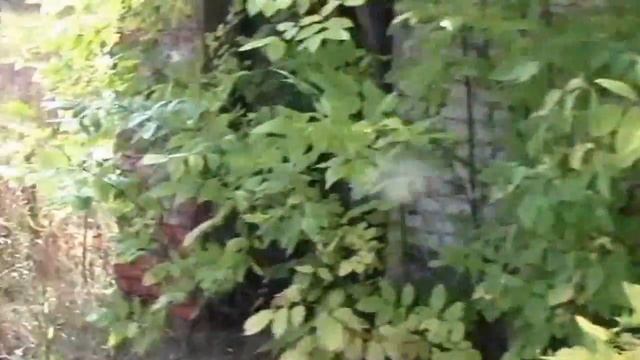 Сталк смотреть онлайн