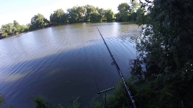 Карась на фидер летом/Рыбалка в Киевской области/Видеоотчет август 2020 смотреть онлайн