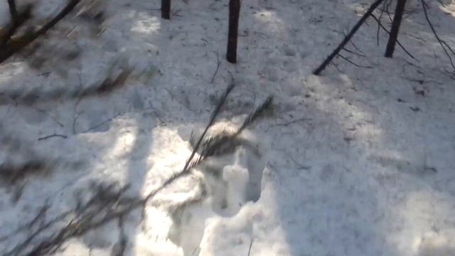 Поиск рогов 2021(27 марта) смотреть онлайн