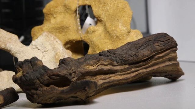 Нано аквариум для начинающих смотреть онлайн