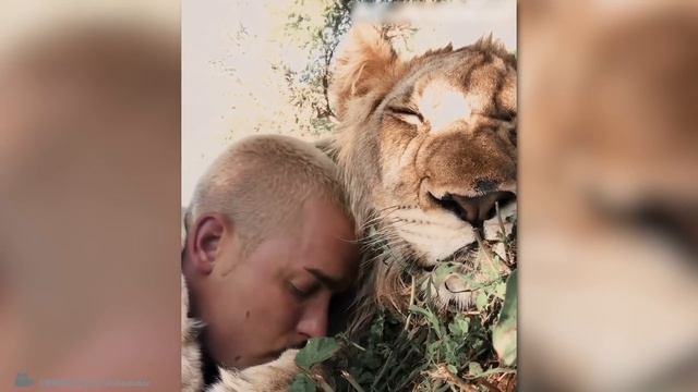 ОПАСНЫЕ ЖИВОТНЫЕ, Которые Могут Быть Дружелюбными! ЭТО Нужно Видеть! смотреть онлайн