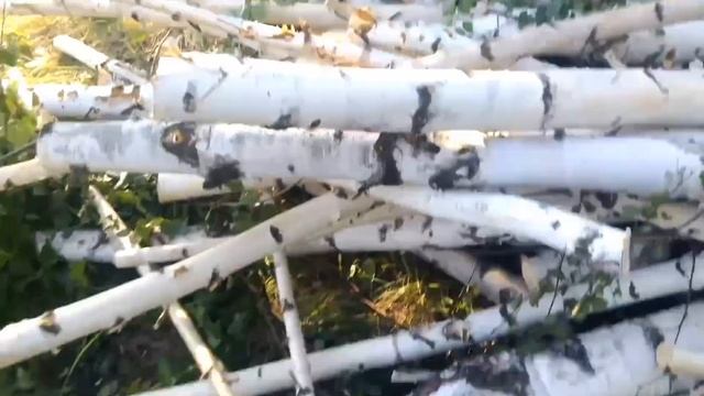 Купил участок с посадкой смотреть онлайн