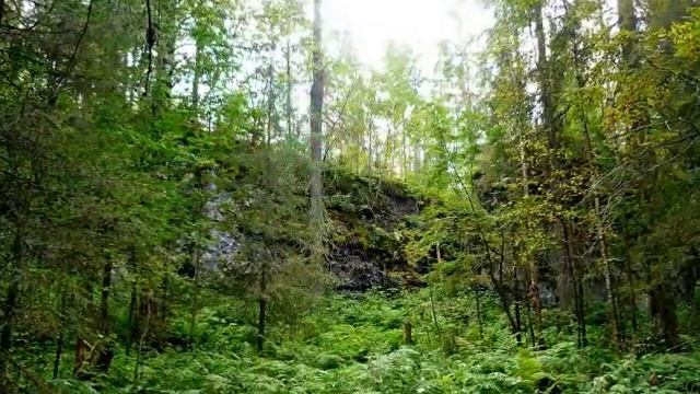 Скальные выступы и пещеры Сухого лога / поселок Шумихинский / Путешествуем по Пермскому краю смотреть онлайн