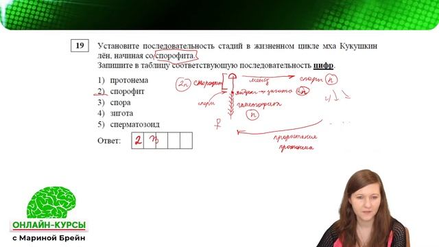 РАЗБОР ВАРИАНТА ЕГЭ ПО БИОЛОГИИ 2022 СТАТГРАД . 2 вариант смотреть онлайн
