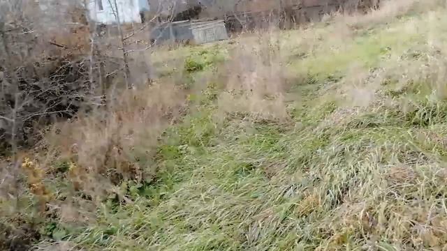 Пробираюсь сквозь заросли на сельское кладбище/Заброшенные сад, дом, колодец смотреть онлайн