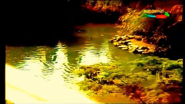 İlhamə Quliyeva Sən yadıma düşəndə смотреть онлайн