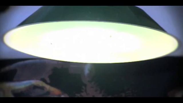 Хостел Vertigo Vieux-Port Марсель смотреть онлайн