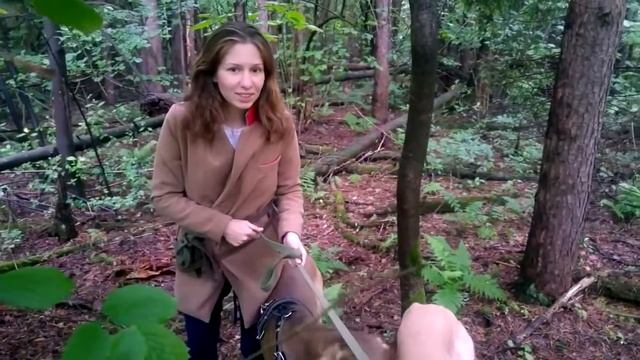 6 Учимся рисовать технику ekqjP nIljg смотреть онлайн