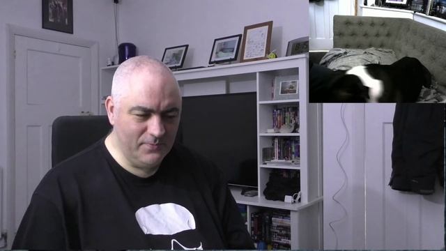 Daily Ramble games and AI смотреть онлайн