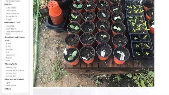 Пластмассовые горшки для выращивания растений смотреть онлайн