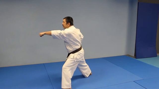 Мастер-класс по каратэ Кекусинкай от Аимбетова А.Ж. (ПМК Метеор) Выпуск 5 смотреть онлайн