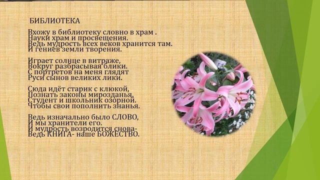 презентация ко дню библиотек смотреть онлайн