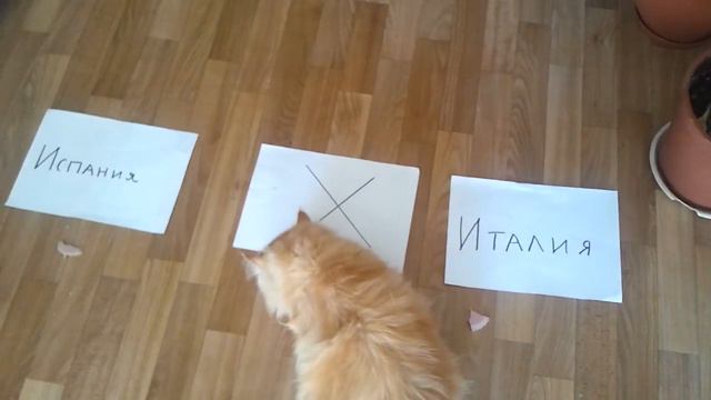 EURO 2012 Испания-Италия 10.06.12 смотреть онлайн
