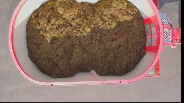 Миксер кормораздатчик Готовим и раздаём корм для КРС Семейная ферма в России видео смотреть онлайн