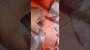 Сачок для ловли насекомых своими руками