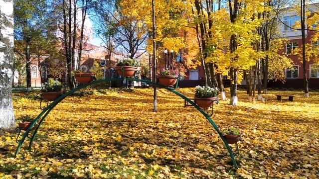 ? " ЗОЛОТАЯ ОСЕНЬ " смотреть онлайн