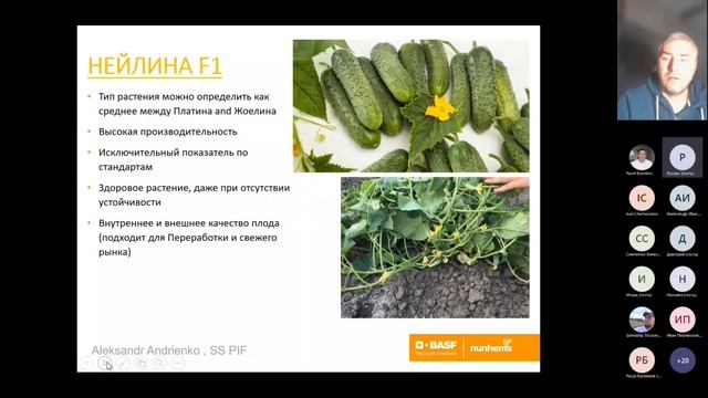 Хиты и новинки в ассортименте селекции Nunhems, BASF смотреть онлайн