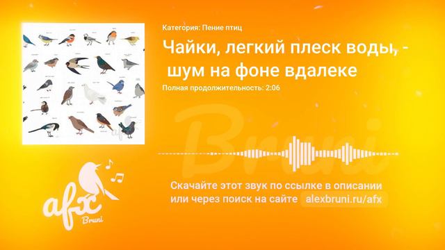 Звук: Чайки, легкий плеск воды, шум на фоне вдалеке смотреть онлайн