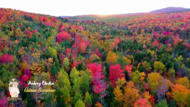 🎷Andrey Obidin🎷🍂 Autumn Saxophone🍂 смотреть онлайн