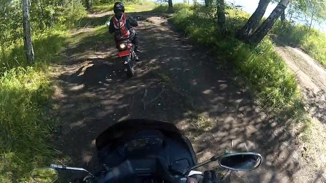 Суббота, покатушки в лесу смотреть онлайн