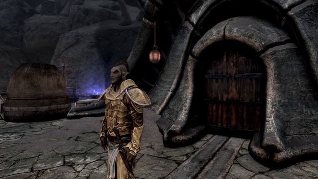 4 Criminal Factions that You May Know Nothing About - Elder Scrolls Lore смотреть онлайн