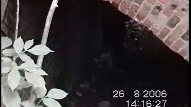 Калининград(Кёнигсберг).Форт №5(Король Фридрих Вильгельм III).26.8.06. смотреть онлайн