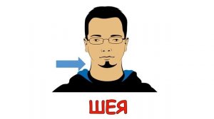 Части тела для детей Карточки Домана Развивающее видео для малышей