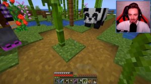 НОВЫЙ ДОМ ДЛЯ ПАНДЫ ? У ЭДИСОНА И КАТИ ? В МАЙНКРАФТ