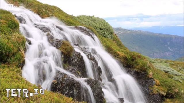 Cherry Blossom Season, Chika - Calm BGM смотреть онлайн