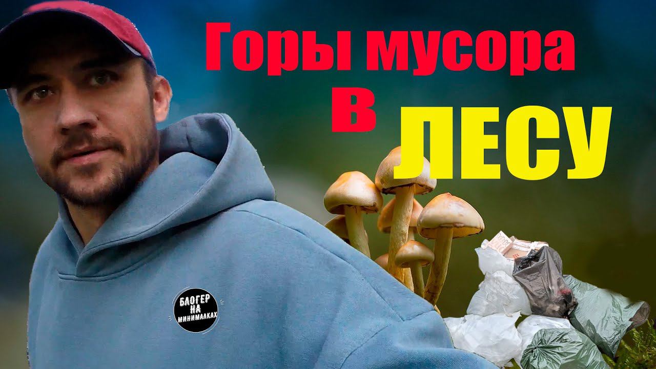 ГРИБЫ | ГОРЫ МУСОРА В ЛЕСУ | блогер на минималках смотреть онлайн
