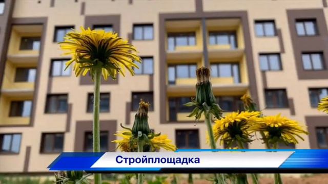 Еженедельные новости 21 июля 2019 смотреть онлайн