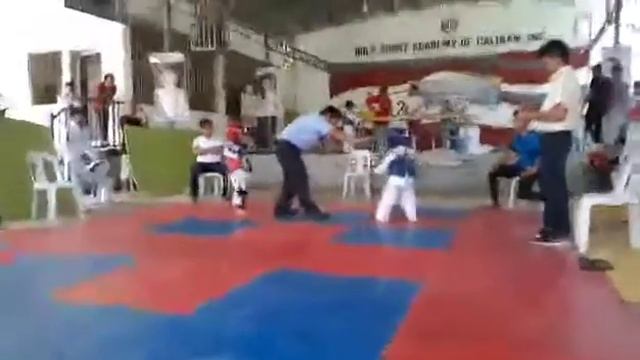 7 years old taekwondo sparring смотреть онлайн