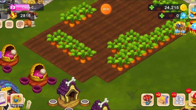 ROYAL FARM 15.04.22 смотреть онлайн