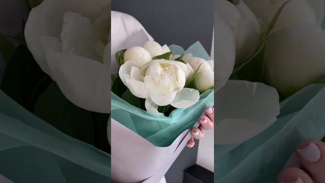 Пионы Сара Бернар смотреть онлайн