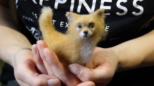 Chihuahua Emily смотреть онлайн