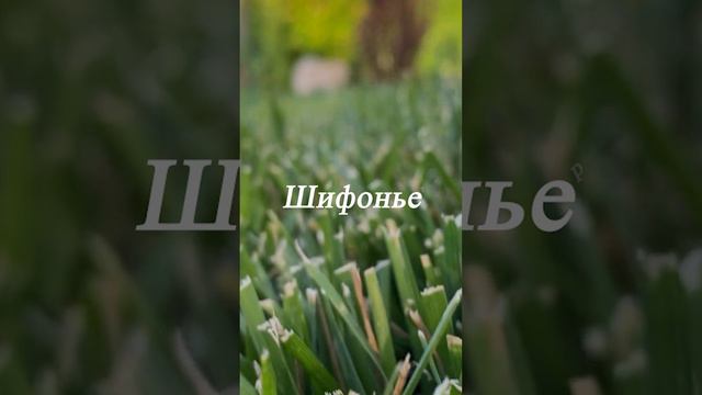 Муж спрашивает ... смотреть онлайн