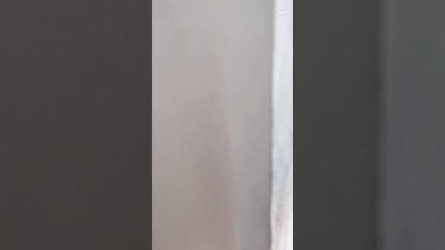 Soloop_20231105184746.mp4