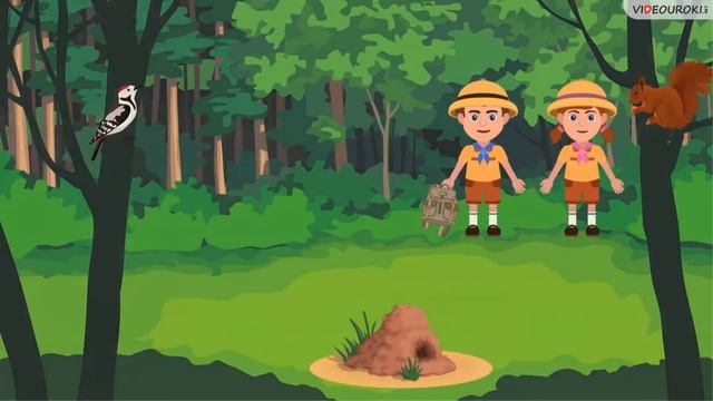 Правила поведения в природе