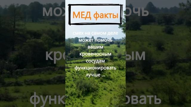 Что нужно помнить, когда почувствовали стресс? смотреть онлайн