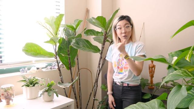 REALLY BIG PLANT TOUR: All of my most massive houseplants! смотреть онлайн