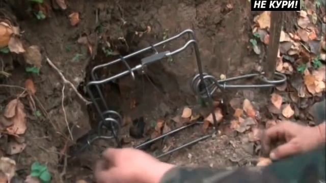 Ловля капканами барсука, ондатру и енотовидную собаку - 2021г смотреть онлайн