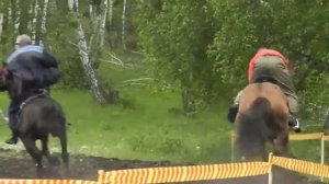 Во хмелю слегка лесом правил я  Клип  В Высоцкий