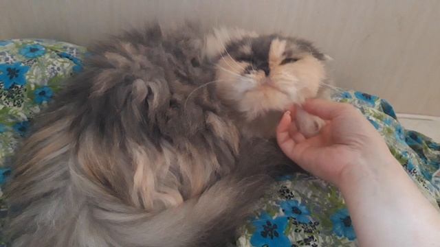 20221225_140951 смотреть онлайн